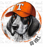 Neutral TN PNG - Digital Download
