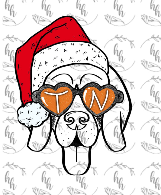 Smokey Glasses PNG - santa hat